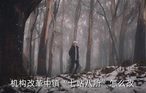 機構改革中鎮(zhèn)“七站八所”怎么改