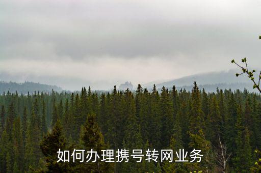 如何辦理攜號轉網業務
