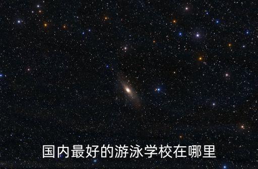 國內最好的游泳學校在哪里