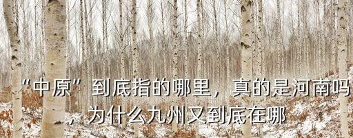 “中原”到底指的哪里，真的是河南嗎，為什么九州又到底在哪
