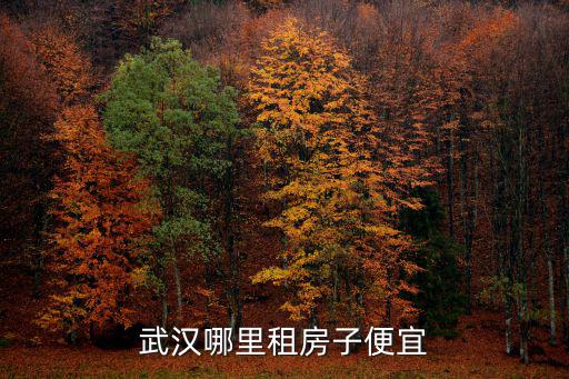 武漢哪里租房子便宜