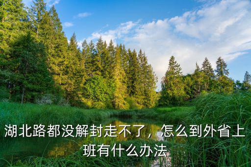 湖北路都沒解封走不了，怎么到外省上班有什么辦法