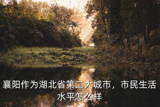 襄陽作為湖北省第二大城市，市民生活水平怎么樣