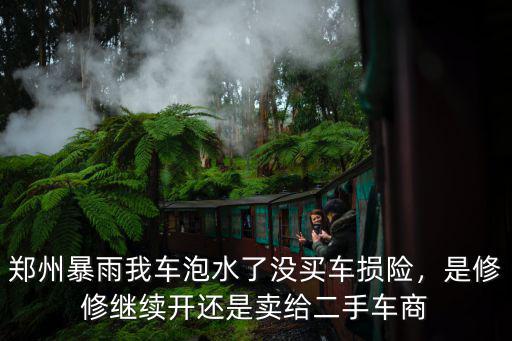 鄭州暴雨我車泡水了沒買車損險，是修修繼續開還是賣給二手車商