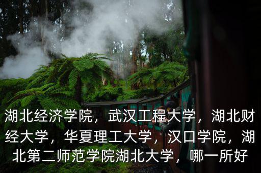 湖北經濟學院，武漢工程大學，湖北財經大學，華夏理工大學，漢口學院，湖北第二師范學院湖北大學，哪一所好