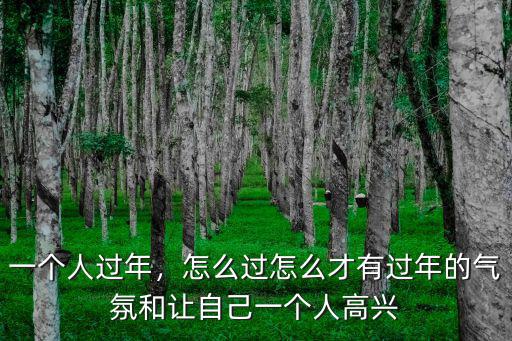 一個人過年，怎么過怎么才有過年的氣氛和讓自己一個人高興
