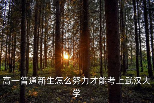 怎么進武漢大學(xué)薪酬,四川大學(xué)和武漢大學(xué)怎么選