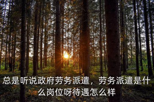 總是聽說政府勞務(wù)派遣，勞務(wù)派遣是什么崗位呀待遇怎么樣