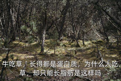 牛吃草，長得都是蛋白質，為什么人吃草，卻只能長脂肪是這樣嗎