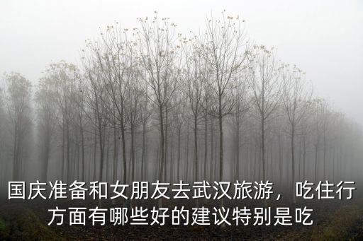 國慶準備和女朋友去武漢旅游，吃住行方面有哪些好的建議特別是吃