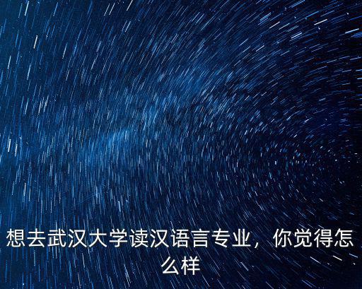 想去武漢大學讀漢語言專業，你覺得怎么樣