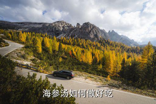 鄂州市無(wú)添加海參怎么做好吃,速食海參怎么做好吃