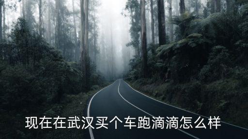 武漢雷凌跑滴滴怎么樣,現在在武漢開滴滴快車怎么樣