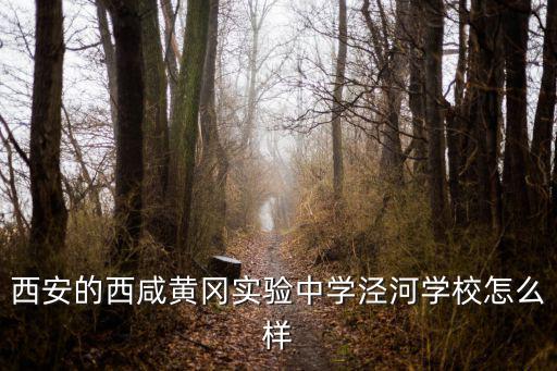西安的西咸黃岡實驗中學涇河學校怎么樣