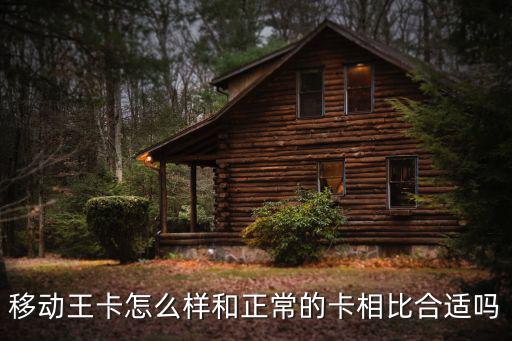 湖北移動(dòng)的流量王卡怎么樣,移動(dòng)王卡怎么樣