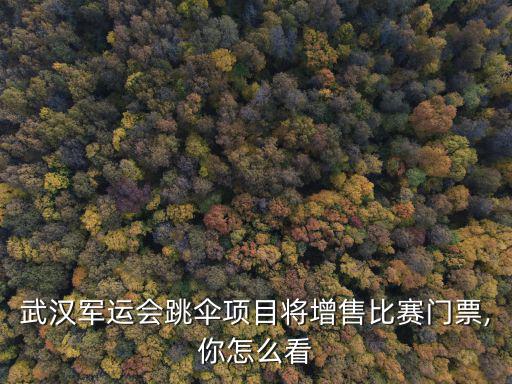 武漢軍運(yùn)會(huì)跳傘項(xiàng)目將增售比賽門票,你怎么看