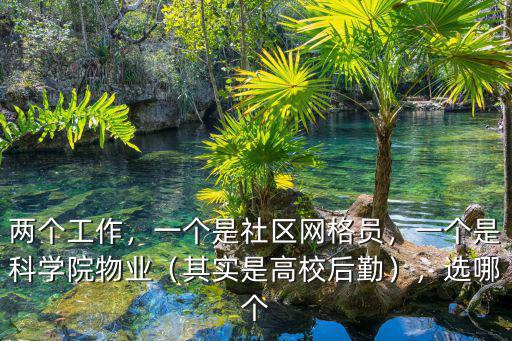 兩個工作，一個是社區(qū)網(wǎng)格員，一個是科學(xué)院物業(yè)（其實(shí)是高校后勤），選哪個