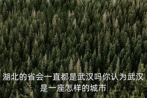 湖北的省會一直都是武漢嗎你認為武漢是一座怎樣的城市