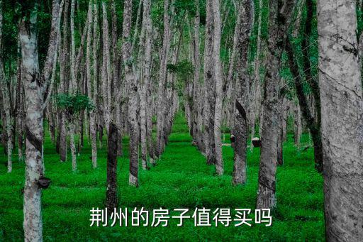 荊州的房子值得買(mǎi)嗎
