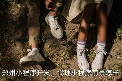 鄭州跑腿平臺小程序開發哪里有,鄭州小程序開發