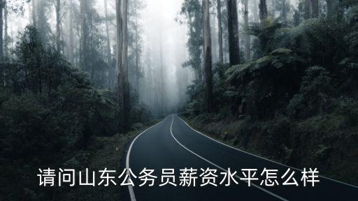 請問山東公務員薪資水平怎么樣