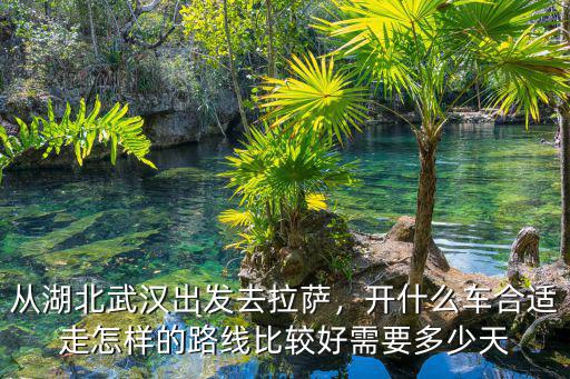從湖北武漢出發去拉薩，開什么車合適走怎樣的路線比較好需要多少天