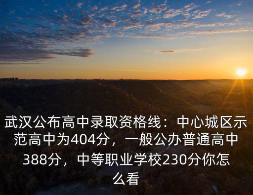 武漢公布高中錄取資格線：中心城區示范高中為404分，一般公辦普通高中388分，中等職業學校230分你怎么看