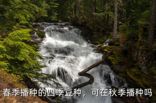 湖北秋季種四季豆怎么操作,如何種四季豆