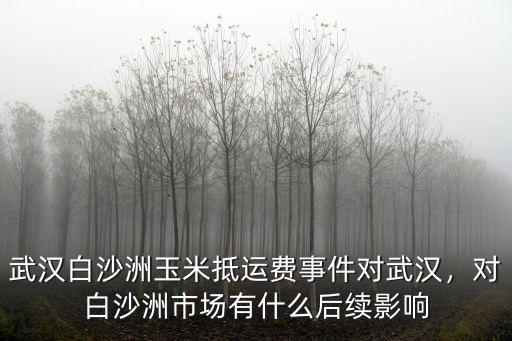 武漢白沙洲玉米抵運費事件對武漢，對白沙洲市場有什么后續影響
