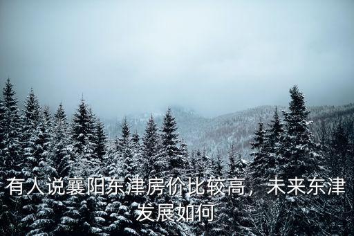 襄陽東津醫院聘金怎么樣,東津地塊怎么樣