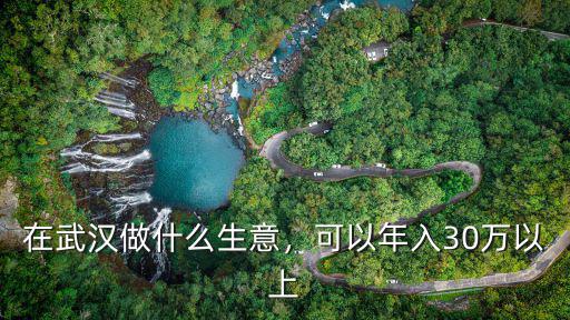 在武漢做什么生意，可以年入30萬以上
