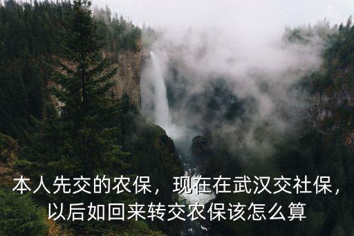 本人先交的農(nóng)保，現(xiàn)在在武漢交社保，以后如回來(lái)轉(zhuǎn)交農(nóng)保該怎么算