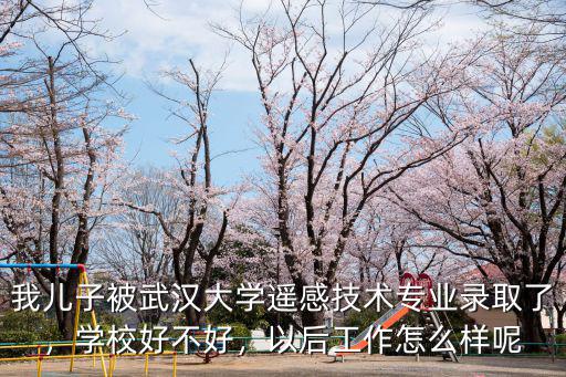 我兒子被武漢大學遙感技術專業錄取了，學校好不好，以后工作怎么樣呢