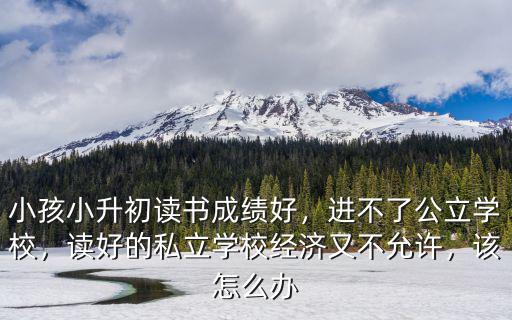 武漢的學生怎么上公立學校,進不了公立學校