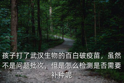孩子打了武漢生物的百白破疫苗，雖然不是問題批次，但是怎么檢測是否需要補種呢