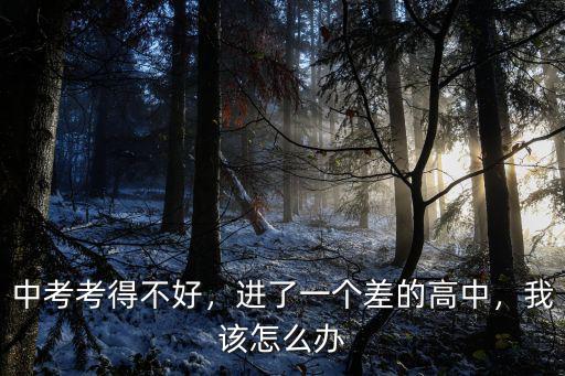 中考考得不好，進(jìn)了一個(gè)差的高中，我該怎么辦