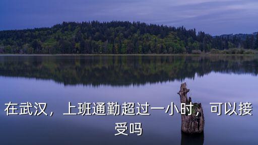 在武漢，上班通勤超過一小時，可以接受嗎