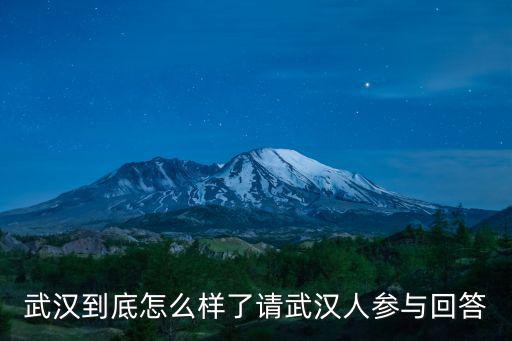 武漢領(lǐng)導(dǎo)怎么問(wèn)責(zé),怎么看武漢實(shí)行酒駕同車