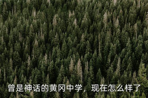 黃岡中學課件怎么樣,黃岡師范學院怎么樣