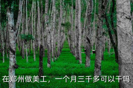 鄭州淘大做美工怎么樣,在鄭州做美工
