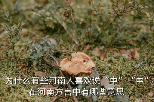 為什么有些河南人喜歡說“中”“中”在河南方言中有哪些意思