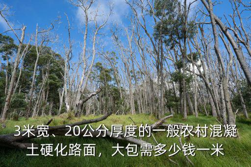 3米寬、20公分厚度的一般農(nóng)村混凝土硬化路面，大包需多少錢一米