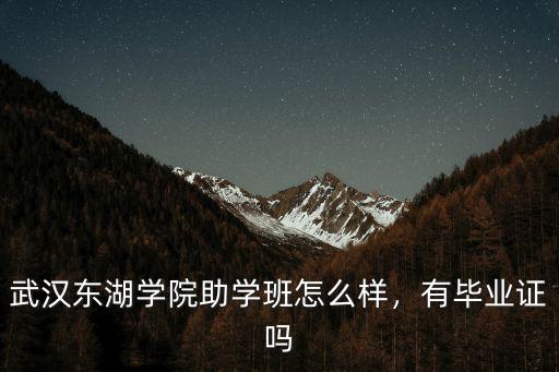 武漢東湖電廣學校怎么樣,武漢東湖學院怎么樣