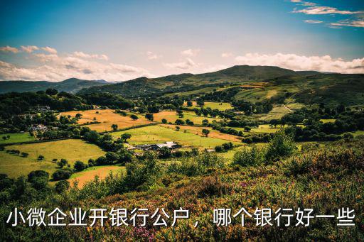 小微企業(yè)開(kāi)銀行公戶，哪個(gè)銀行好一些