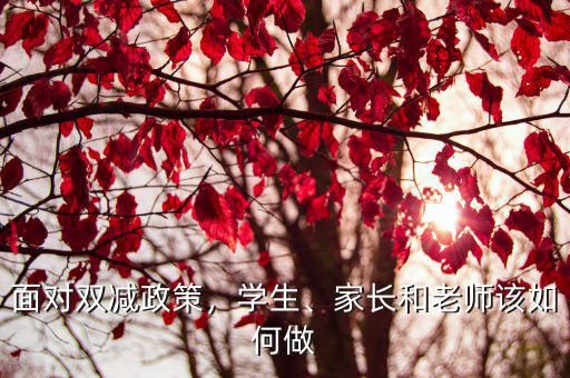 面對雙減政策，學生、家長和老師該如何做