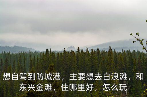 想自駕到防城港，主要想去白浪灘，和東興金灘，住哪里好，怎么玩