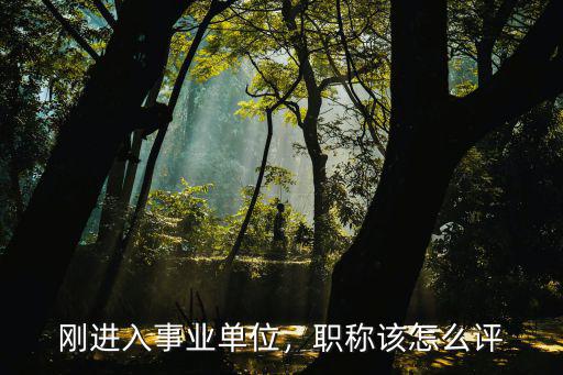 剛進入事業單位，職稱該怎么評