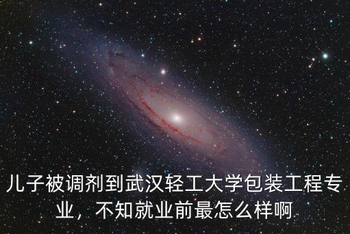 兒子被調(diào)劑到武漢輕工大學(xué)包裝工程專業(yè)，不知就業(yè)前最怎么樣啊