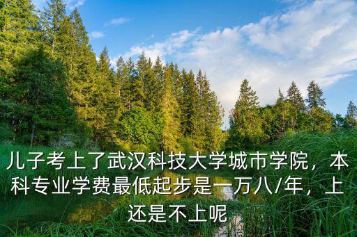 兒子考上了武漢科技大學城市學院，本科專業(yè)學費最低起步是一萬八/年，上還是不上呢