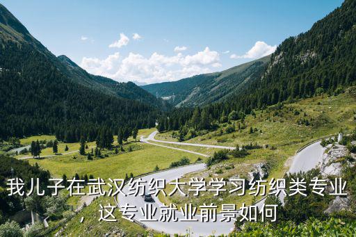 武漢紡織大學人工智能專業怎么樣,報考武漢紡織大學怎么樣
